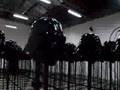 Last Manoeuvres in the Dark
