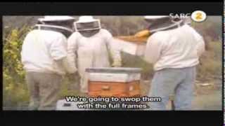 Mooiloop Uniondale Part 3