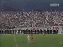 Hooligans Fight