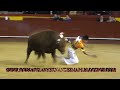 VALENCIA 17-3-2012 CONCURSO DE RECORTES CON TOROS EMBOLADOS DE MARQUES DE DOMECQ