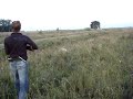 Ver vídeo