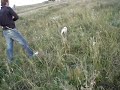 Ver vídeo