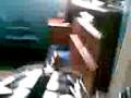 videos de transformers capitulo 1.2