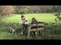wandeling Belgische Borzoi Club