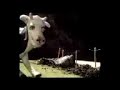 Bob Log III's Electric Fence Story
