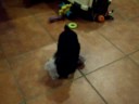 Prissy plays
