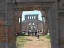 Syria: Ebla, Hama, Apamea, Tartus