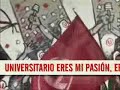vamo vamo merengues