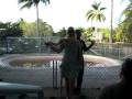 Alligator Farm Video - "Python Strangles Woman at Everglades Alligator Farm - She Overcomes Her Fear of Snakes"