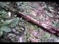 Video-0018.mp4