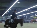 equid\ equid\