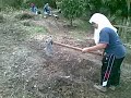 Click here to watch this video PERTANIAN MODEN DI KG BAYANGAN KENINGAU