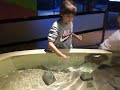 NJ Aquarium
