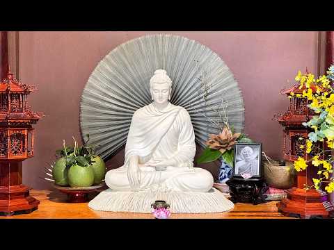 Tinh Hoa NIKAYA - Thiền Hạnh Phúc & Tứ Như Ý Túc - Đạo Tràng Hội Bông Sen