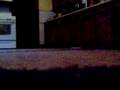My closest tre flip