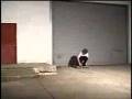 videos de Mike Mo Capaldi