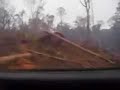 Burning within National Park! Burning within National Park!