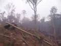 Burning within National Park!