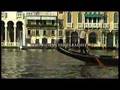 Cocodrilos en Venecia