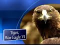 Tiger VI Retirement Flight