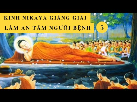 Kinh NIKAYA Giảng Giải - Làm An Tâm Người Bệnh 5 - Hãy Tự Mình Là Ngọn Đèn Cho Chính Mình !