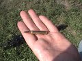 223 Rifle with a 308 suppressor