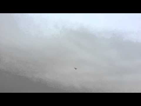 pusher love girl pusher love girl