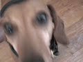Thumbnail #3