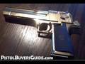 Titanium Gold Desert Eagle .50AE