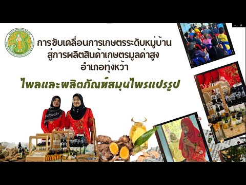 โครงการขับเคลื่อนการเกษตรระดับหมู่บ้านสู่การผลิตสินค้าเกษตรมูลค่าสูง ปี 2568 อ.ทุ่งหว้า จ.สตูล