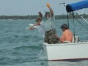 Tarpon Season 2008