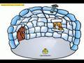 CLUB PENGUIN FREE MEMBERSHIP!!! *Closed*