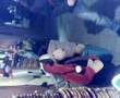 Cristhmas Dance!! (cn finale a sorpresa) ^^