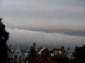 Rolwolk
