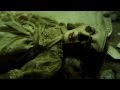 Blood Widow - Official Teaser - 2011