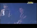 Daan - Housewife (Live)