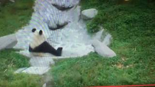 Wolong National Nature Reserve