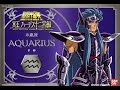 Trinute to Aquarius no Camuss