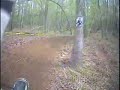 This is race footage from the SORCS Hare Scramble Series at Aonia Pass 4/1/07 Round 1 of 11. I finished 4th in 250B.