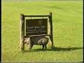 Click here to watch this video Our Kenyan Safari - Camping In The Masai Mara