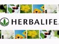 productos herbalife   nutrición interna