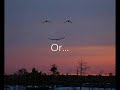 better-montage-video.html