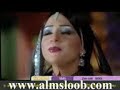 شيكامارا مي عز الدين