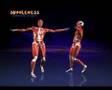 @Bristol Museum Fitness Exhibit