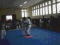 Taekwondo