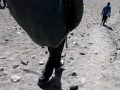 The snows of Kilimanjaro