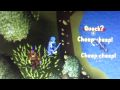 videos de runescape duck hunting