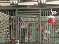 \"I want out\" \"I want out\"