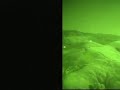 Henry 1 NVG Rescue