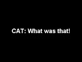 Cat - What Was That!